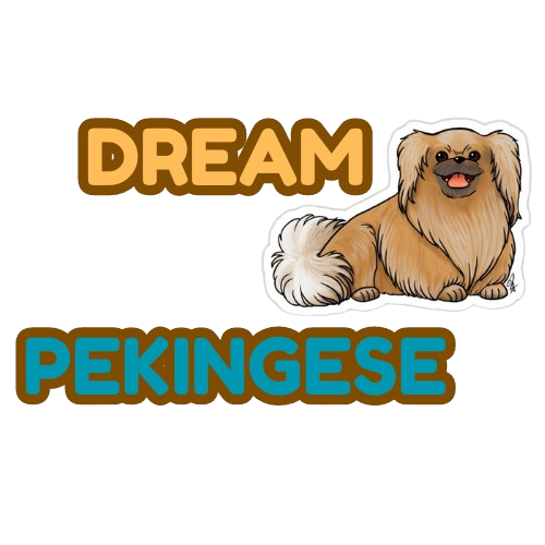 Dream Pekingese